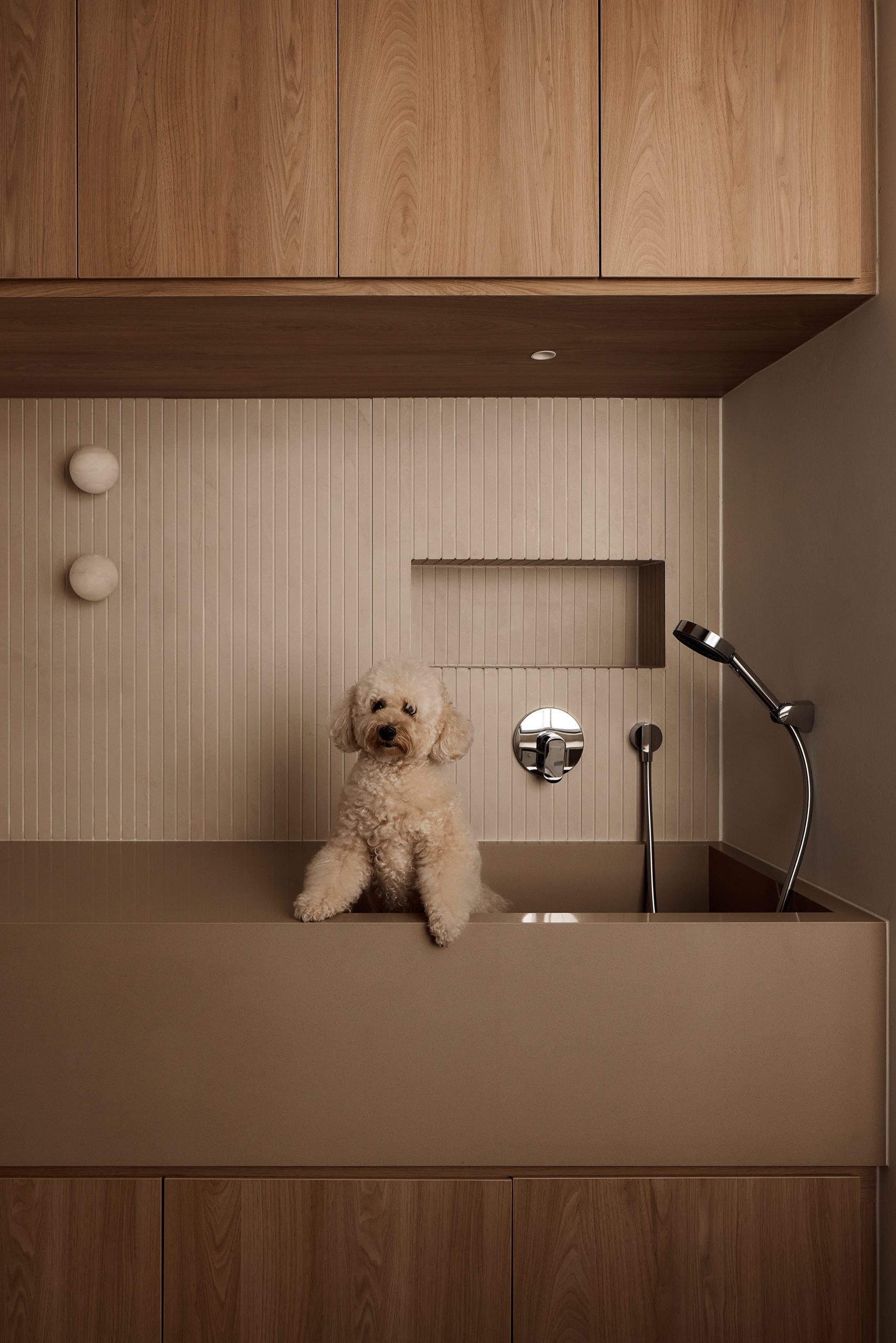 image-gallary-happitat